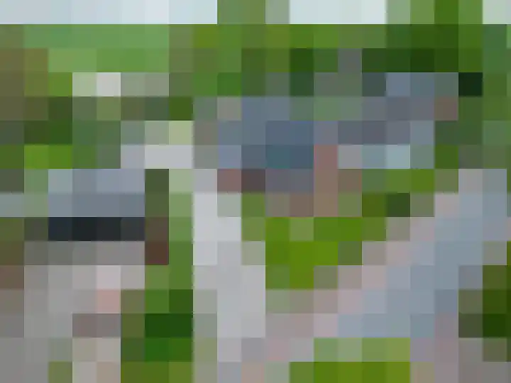 Dorpsstraat 52 Den Horn thumbnail 4