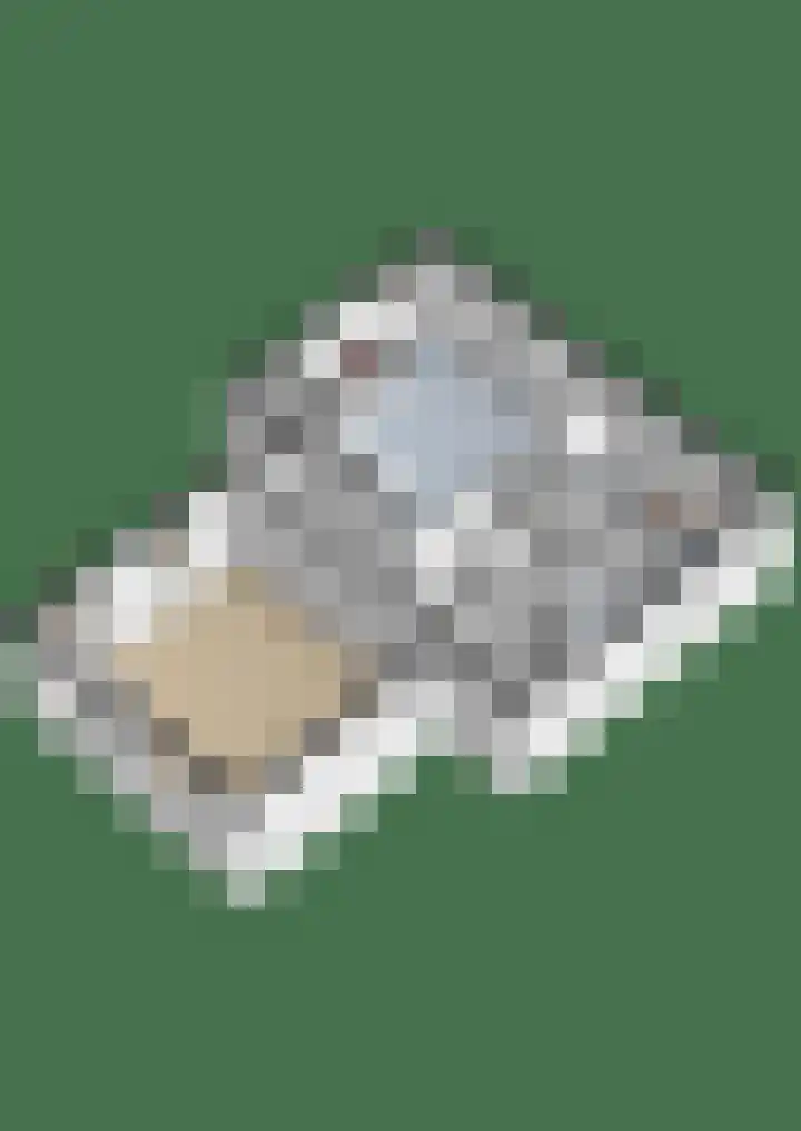 Dorpsstraat 52 Den Horn thumbnail 41