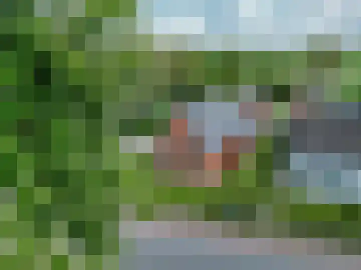 Dorpsstraat 52 Den Horn thumbnail 6