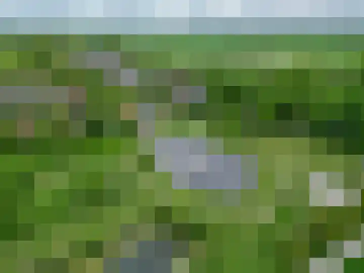 Dorpsstraat 52 Den Horn thumbnail 8