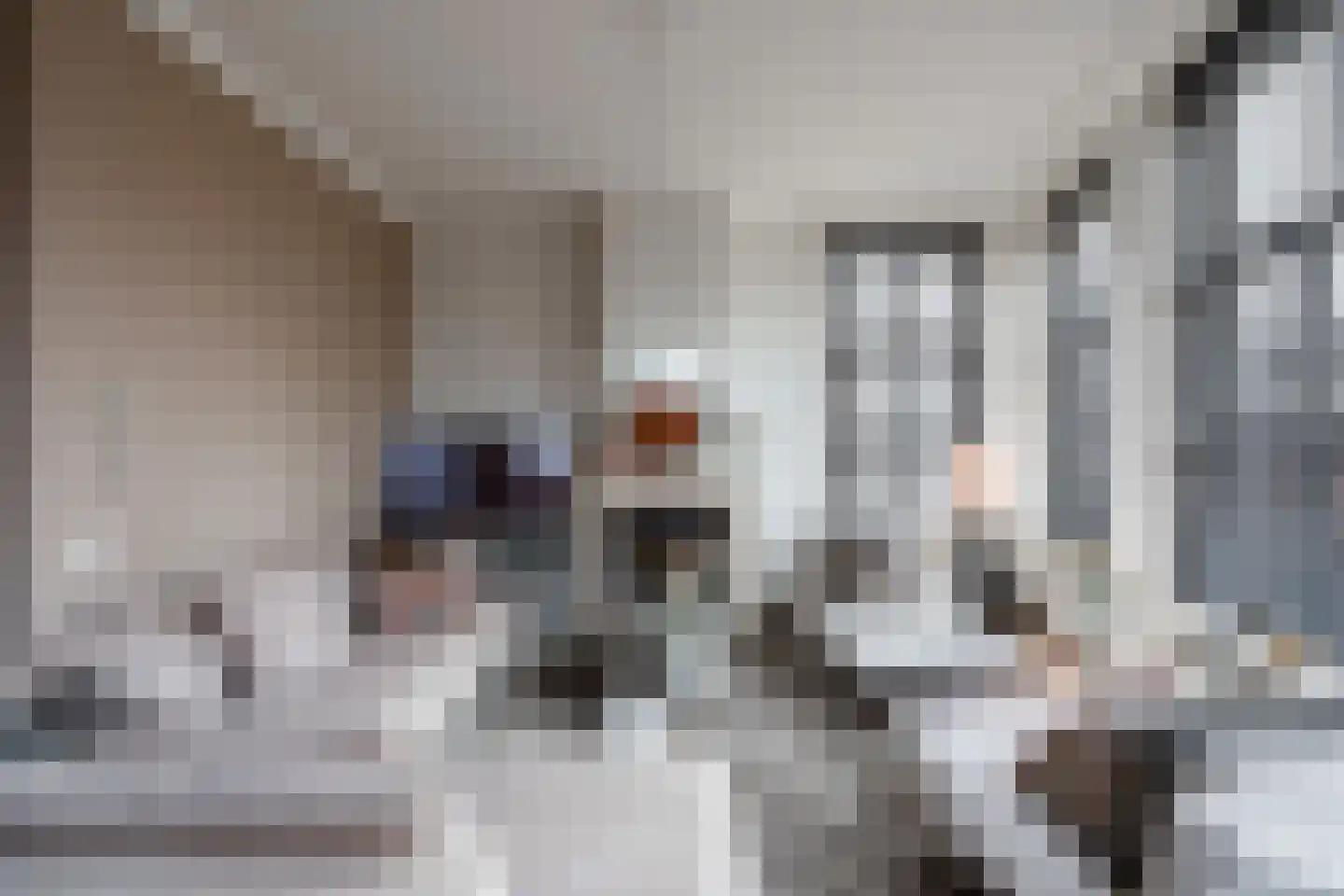 Dorpsstraat 52 Gouderak thumbnail 10