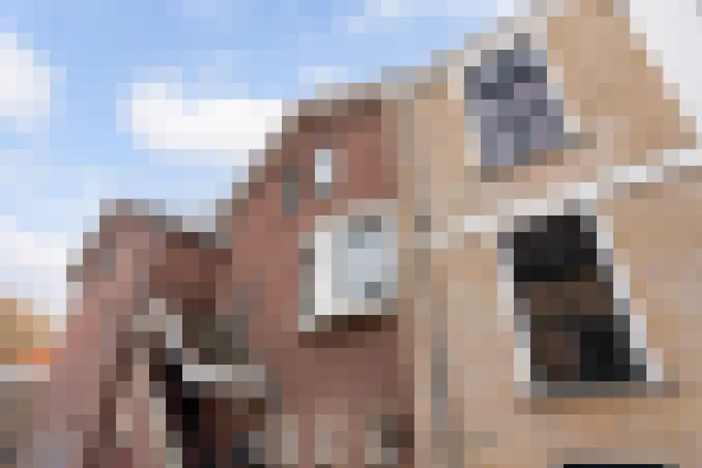 Dorpsstraat 52 Gouderak thumbnail 21