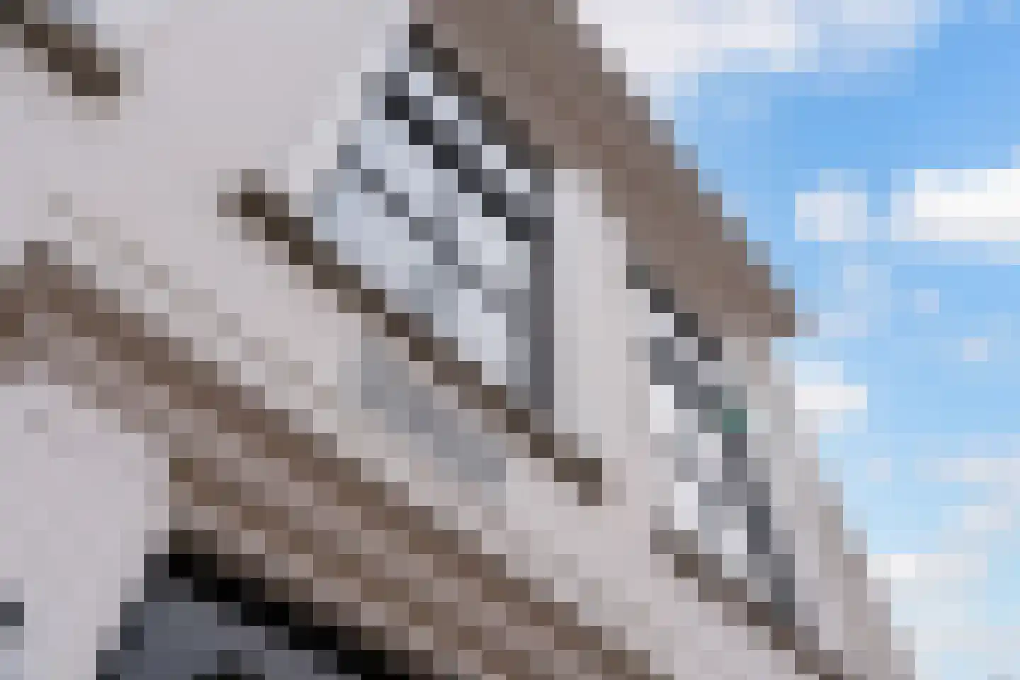 Dorpsstraat 52 Gouderak thumbnail 23