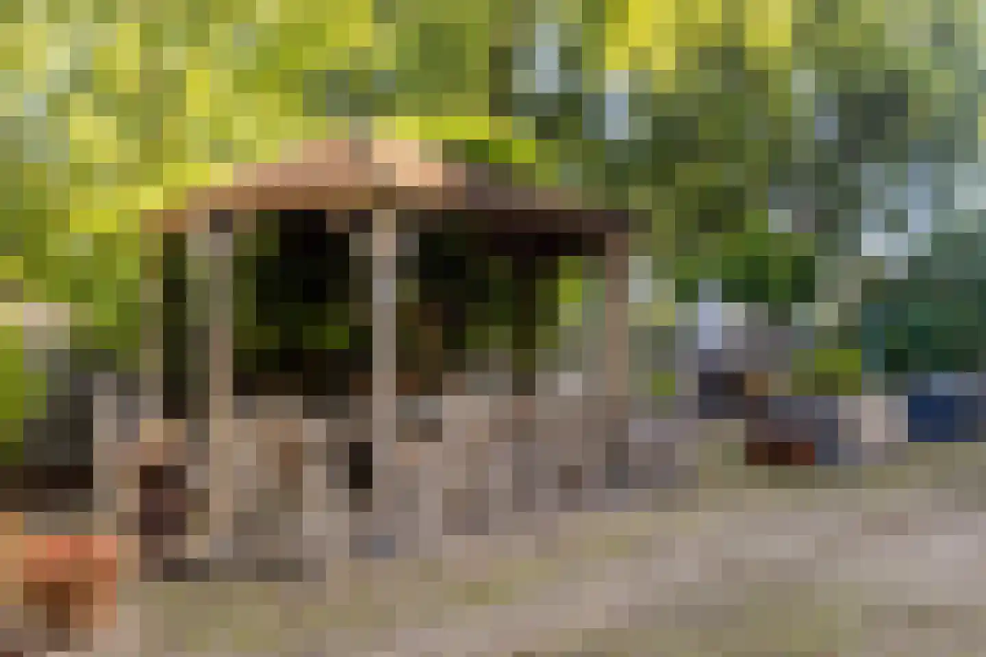 Dorpsstraat 52 Graauw thumbnail 35