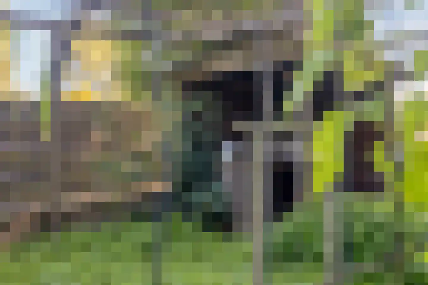 Dorpsstraat 52 Graauw thumbnail 38