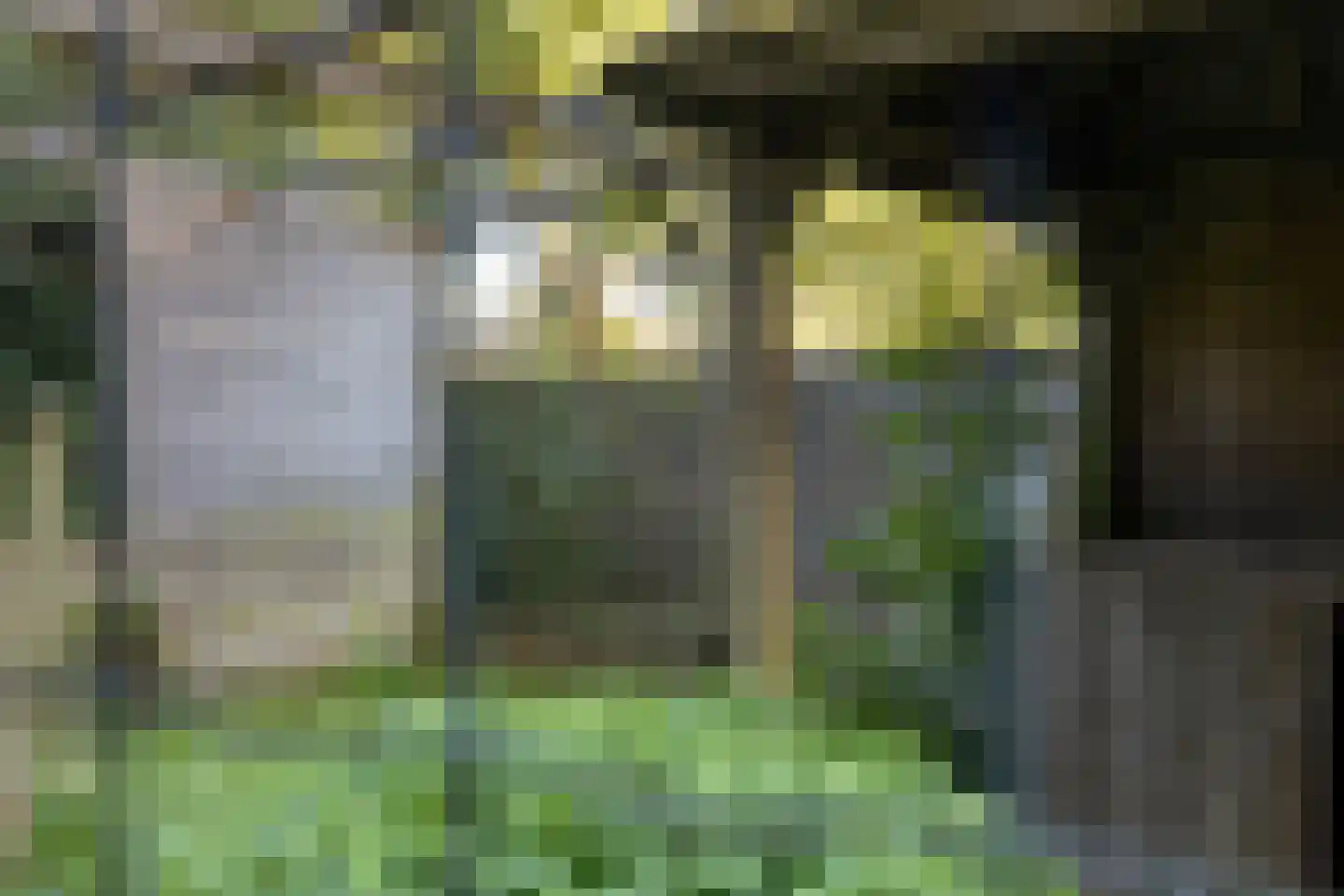 Dorpsstraat 52 Graauw thumbnail 39
