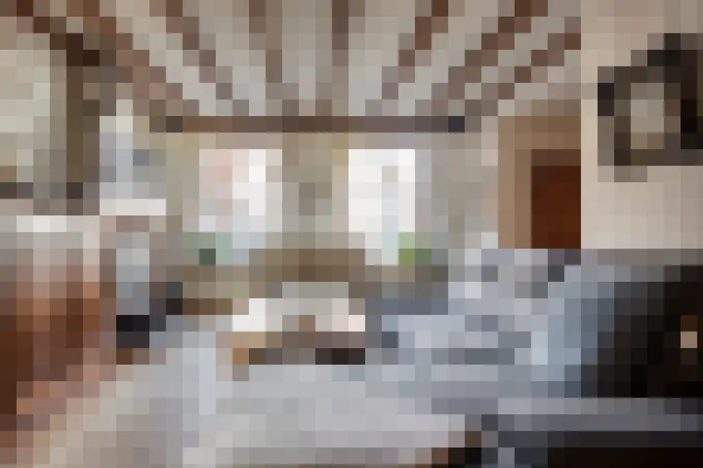 Dorpsstraat 52 Graauw thumbnail 6