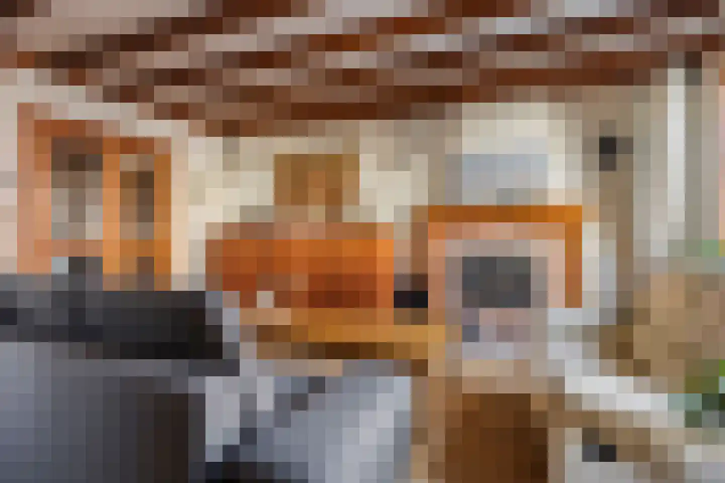 Dorpsstraat 52 Graauw thumbnail 8