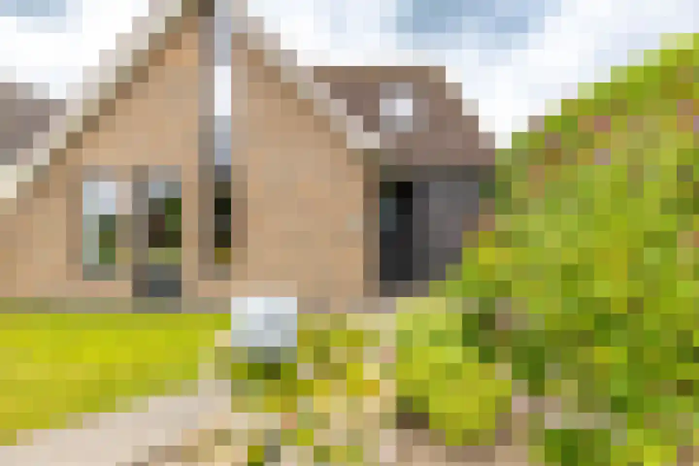 Dorpsstraat 52 Kiel-Windeweer thumbnail 11