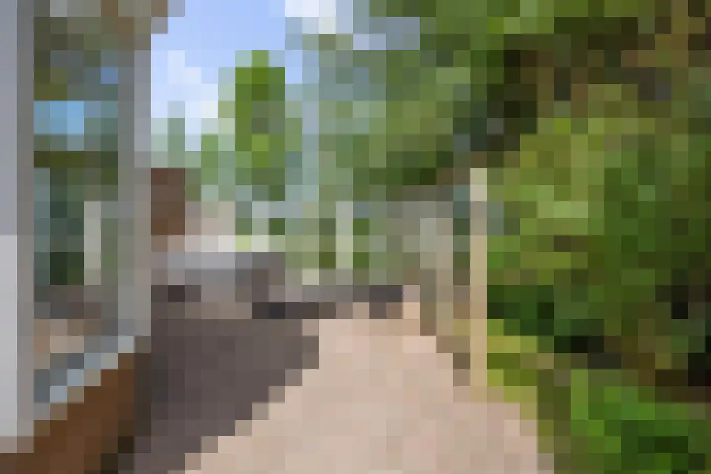 Dorpsstraat 52 Sint Maarten thumbnail 39