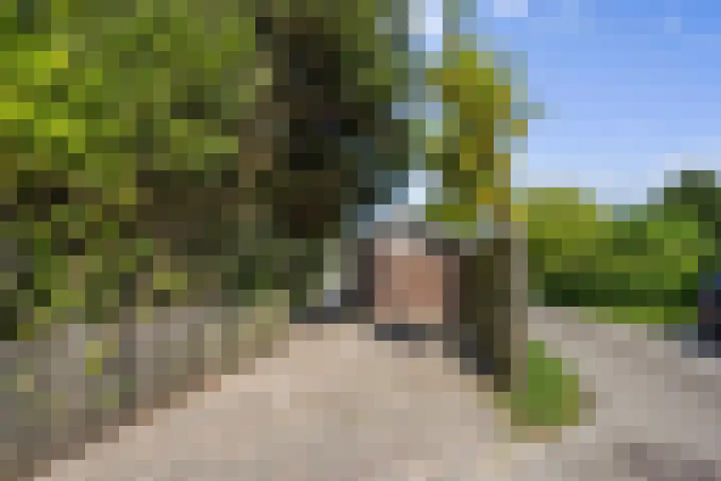 Dorpsstraat 52 Sint Maarten thumbnail 7