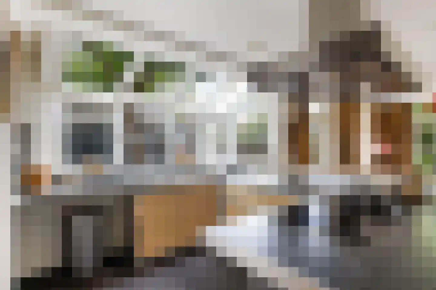 Dorpsstraat 53 a Loenen aan de Vecht thumbnail 10
