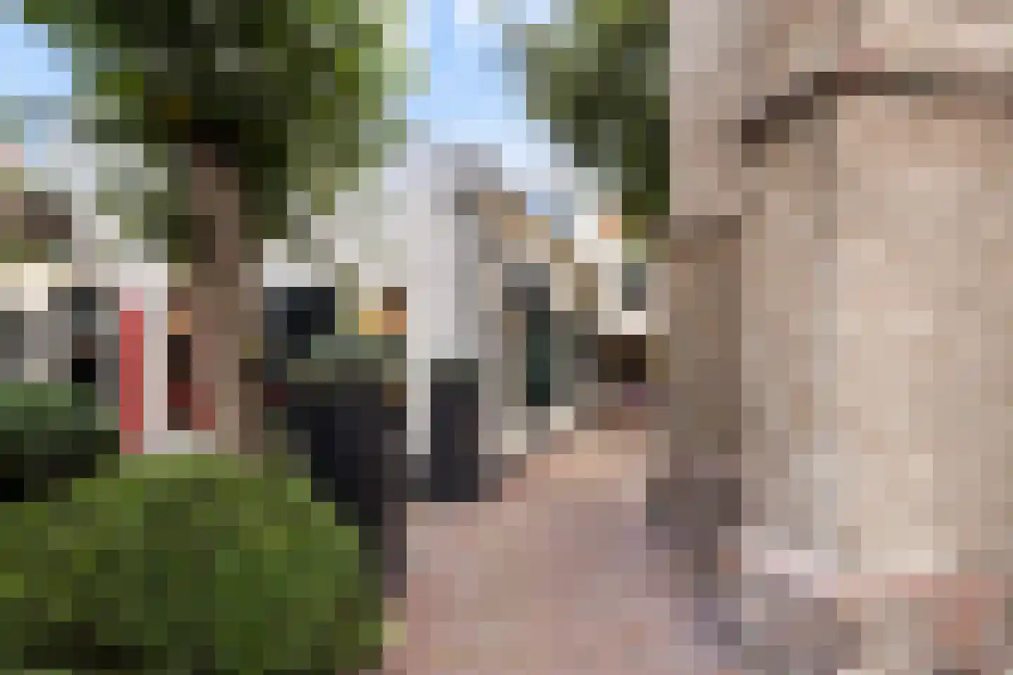 Dorpsstraat 53 a Loenen aan de Vecht thumbnail 46