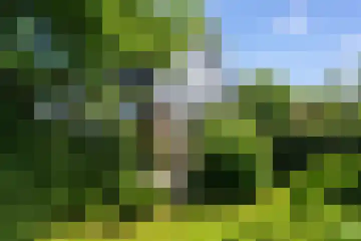Dorpsstraat 53 b Markenbinnen thumbnail 43