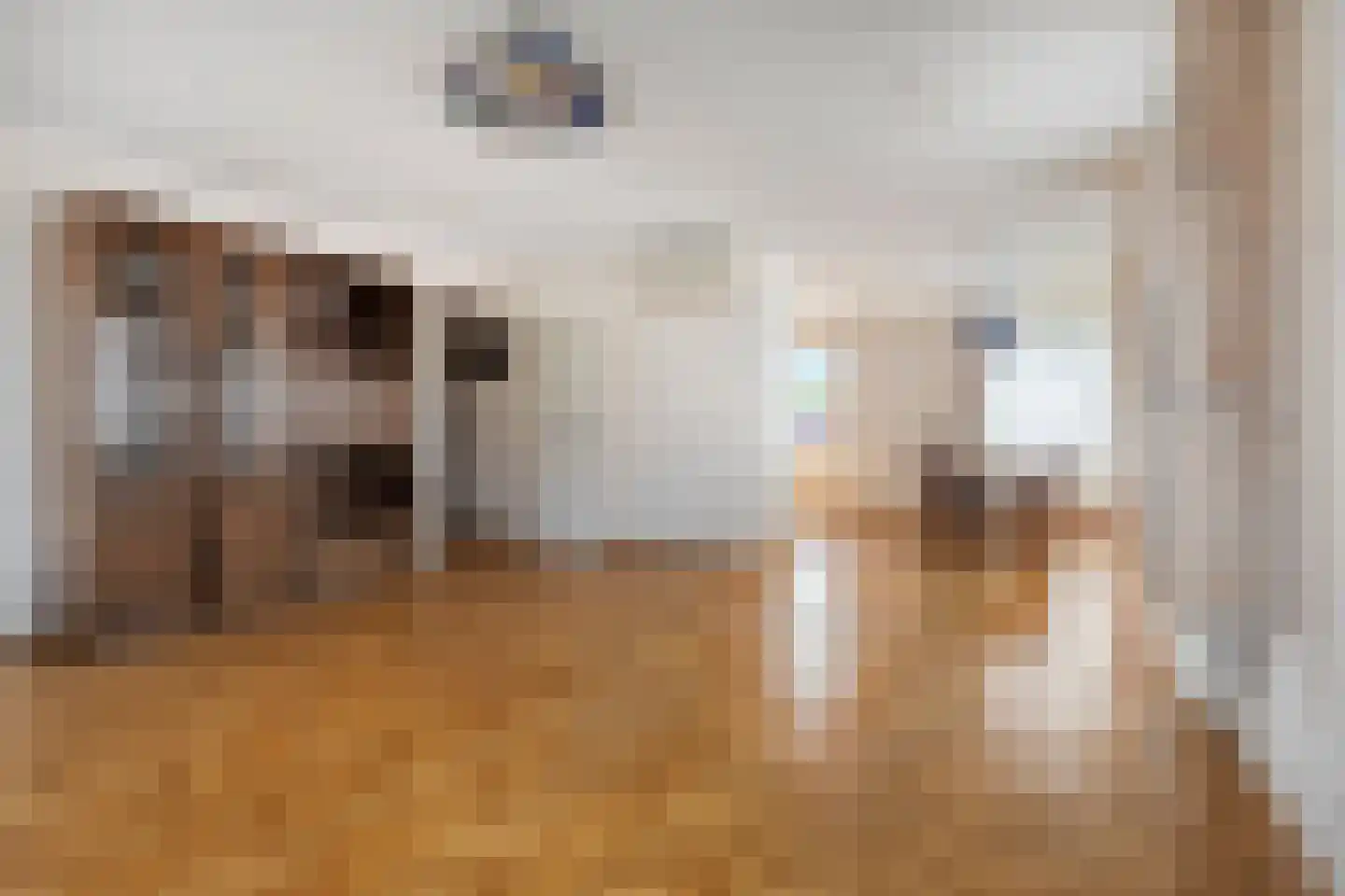 Dorpsstraat 53 Breskens thumbnail 7