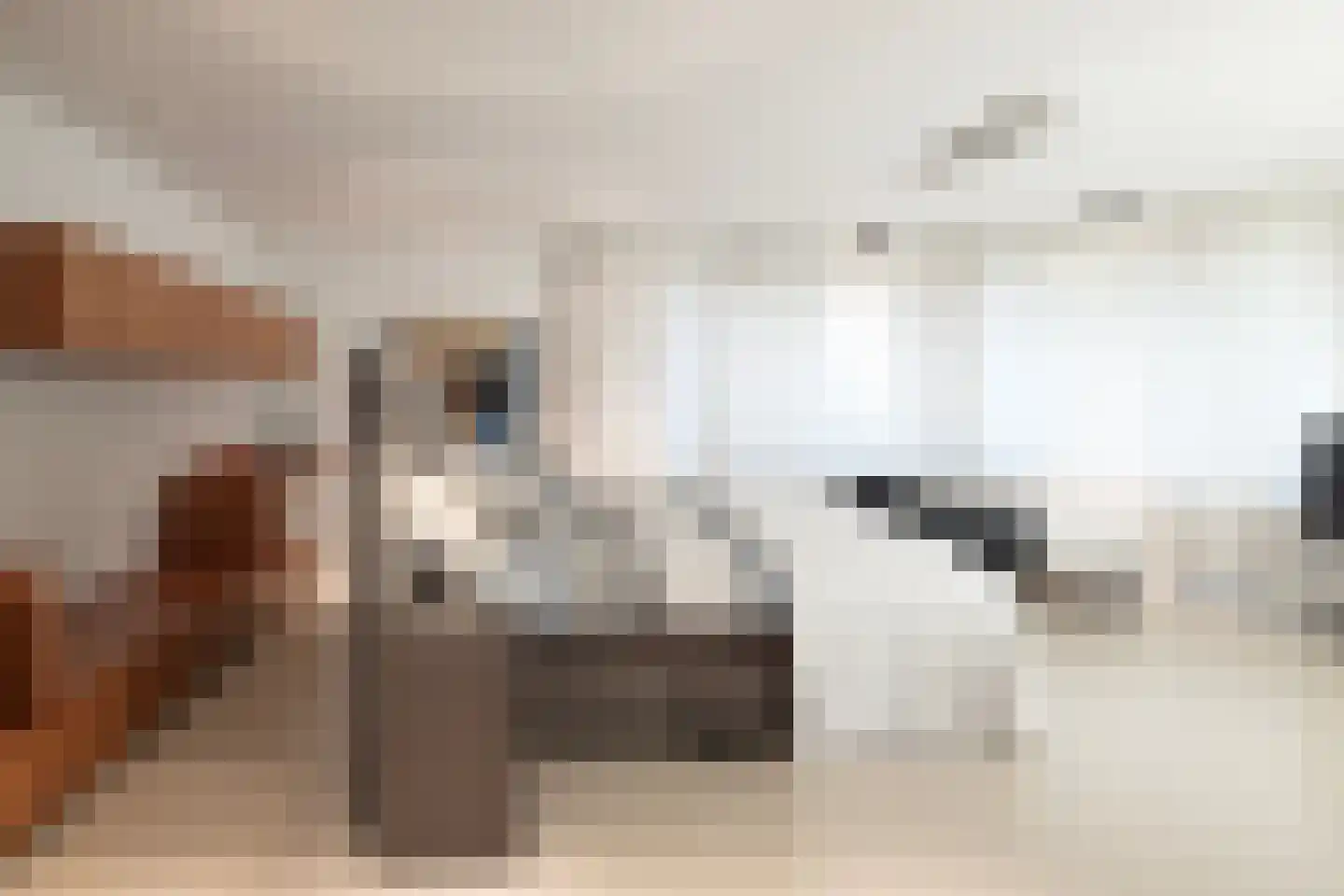 Dorpsstraat 53 C Hendrik-Ido-Ambacht thumbnail 32