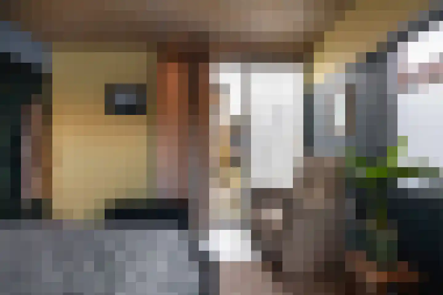 Dorpsstraat 53 Den Horn thumbnail 14