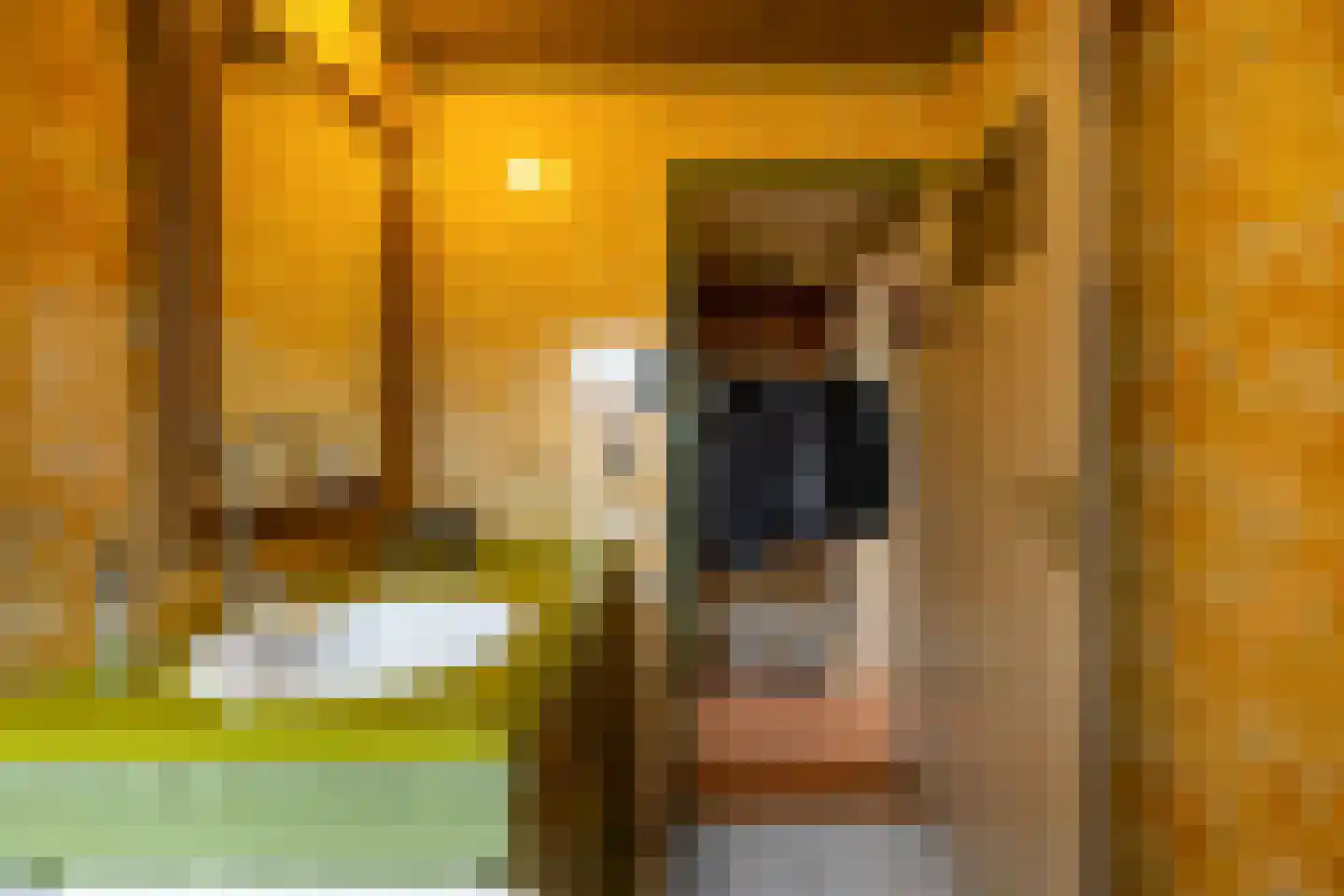 Dorpsstraat 53 Den Horn thumbnail 16