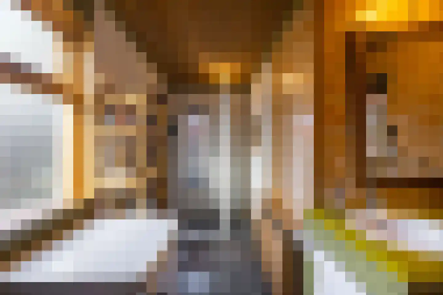 Dorpsstraat 53 Den Horn thumbnail 17