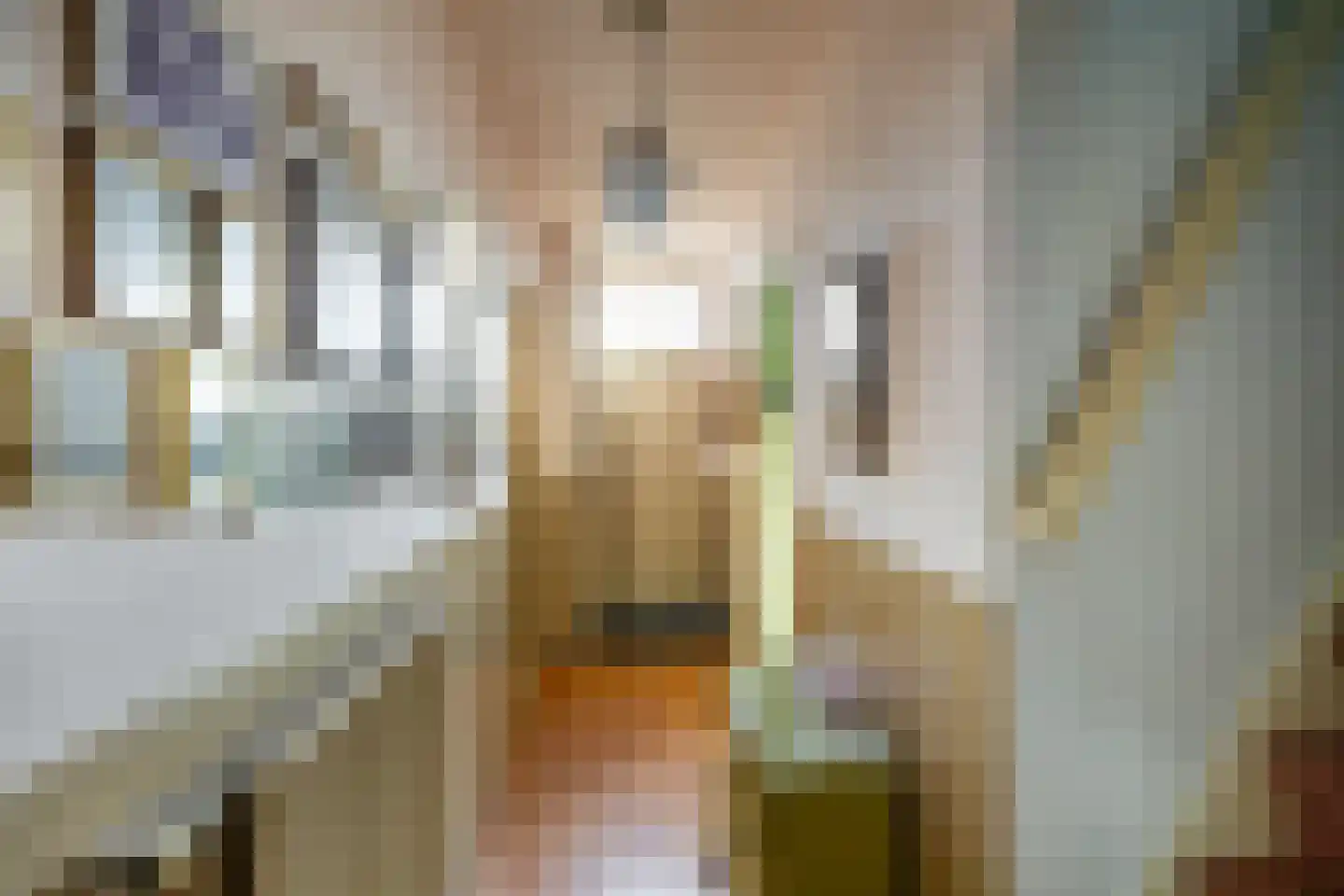 Dorpsstraat 53 Den Horn thumbnail 19