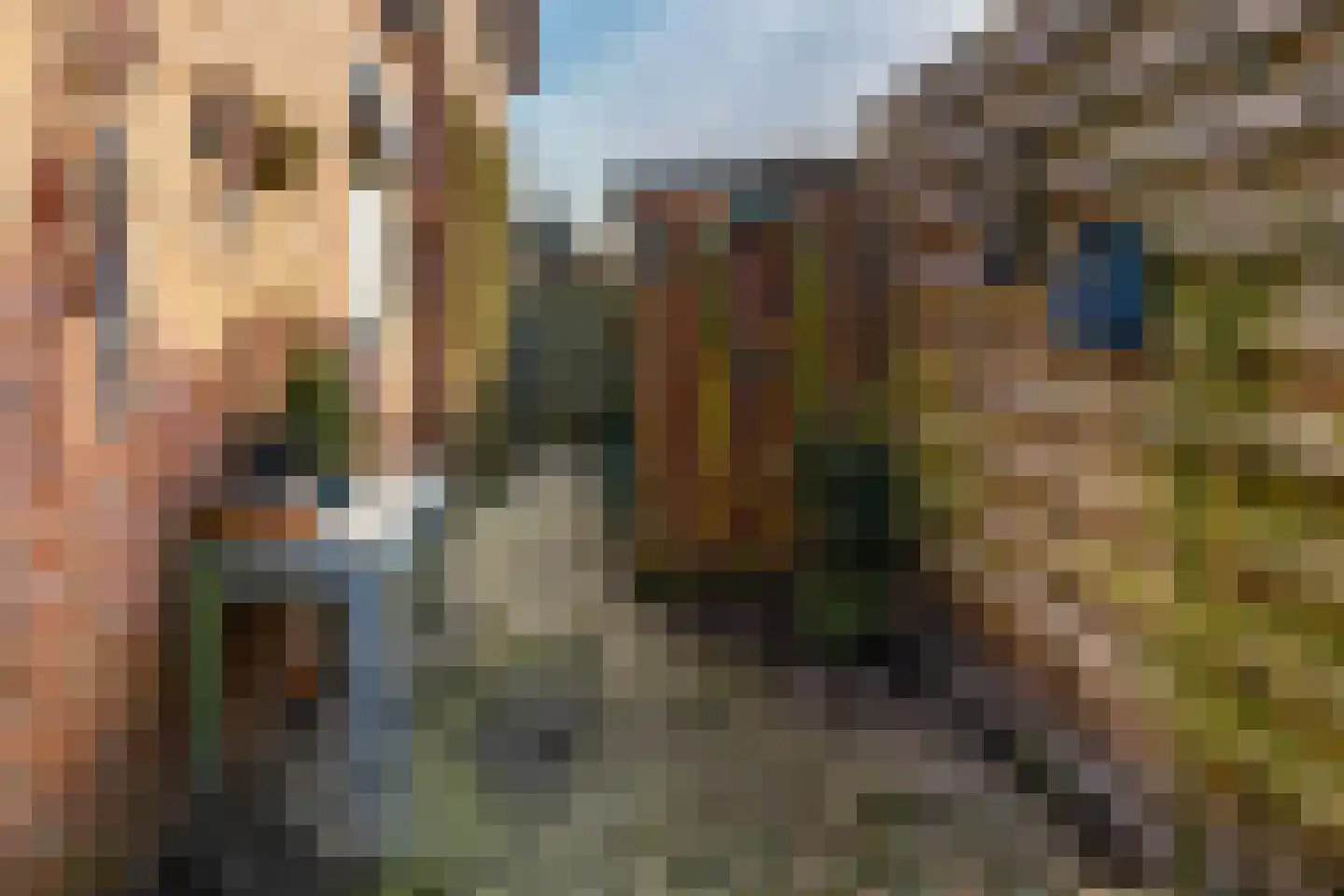 Dorpsstraat 53 Den Horn thumbnail 31