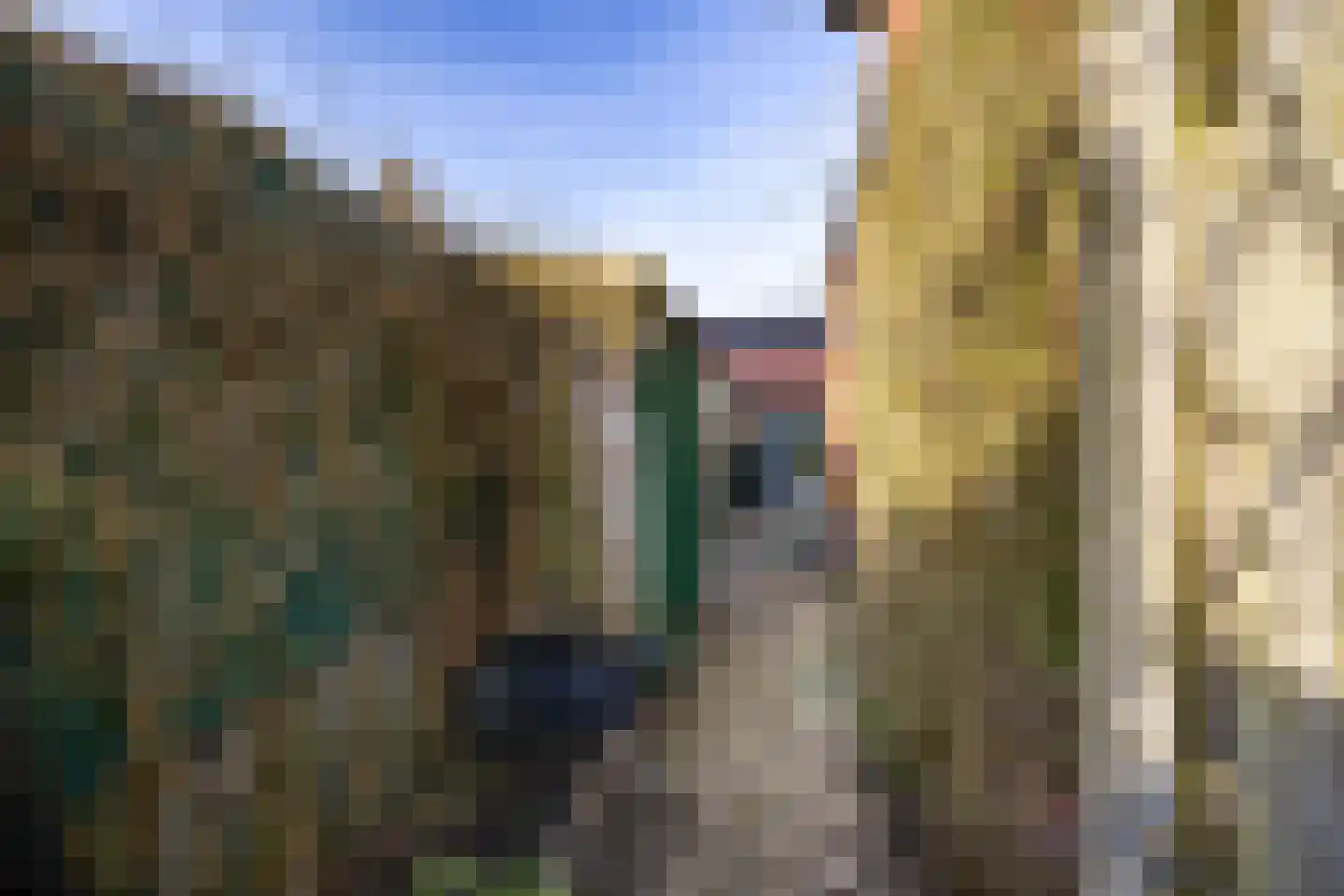 Dorpsstraat 53 Den Horn thumbnail 32