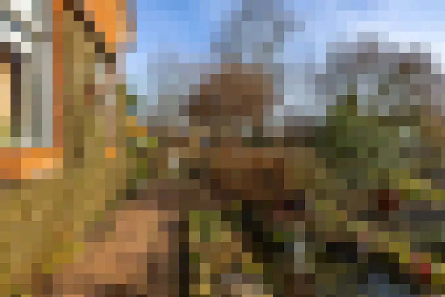 Dorpsstraat 53 Den Horn thumbnail 33