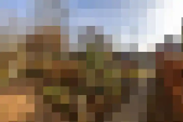 Dorpsstraat 53 Den Horn thumbnail 34