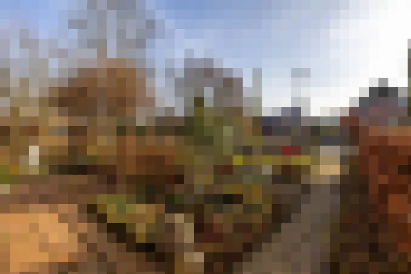 Dorpsstraat 53 Den Horn thumbnail 34