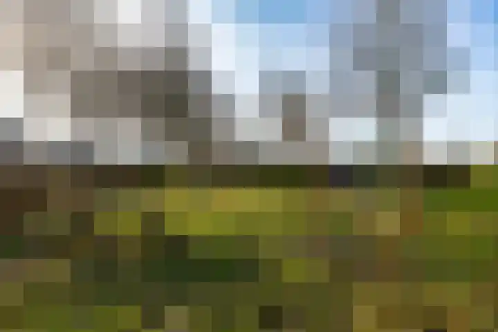 Dorpsstraat 53 Den Horn thumbnail 35