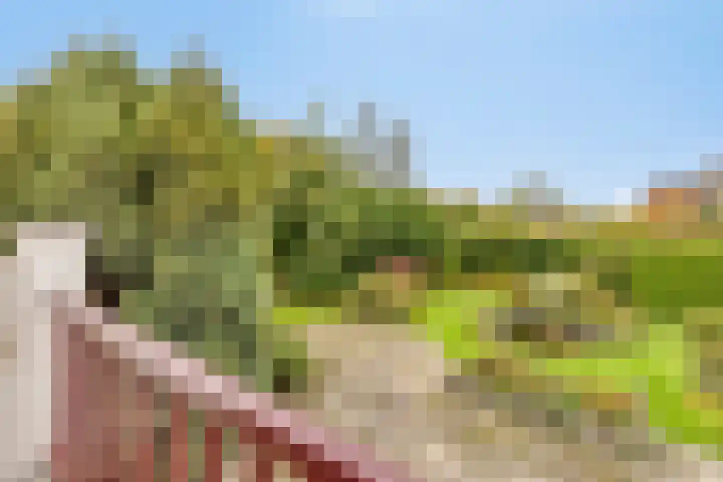 Dorpsstraat 53 Dussen thumbnail 16