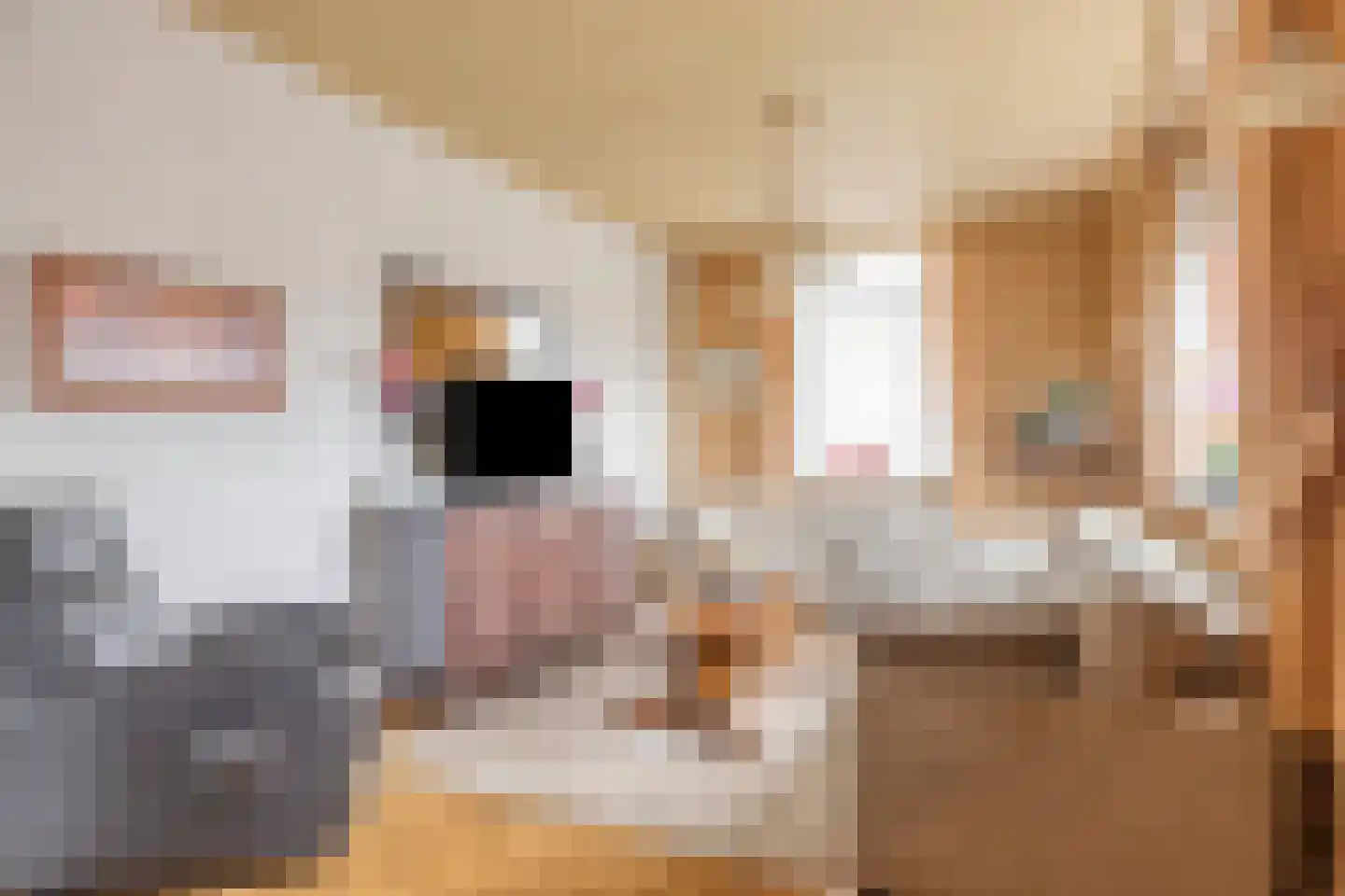 Dorpsstraat 53 Dussen thumbnail 6