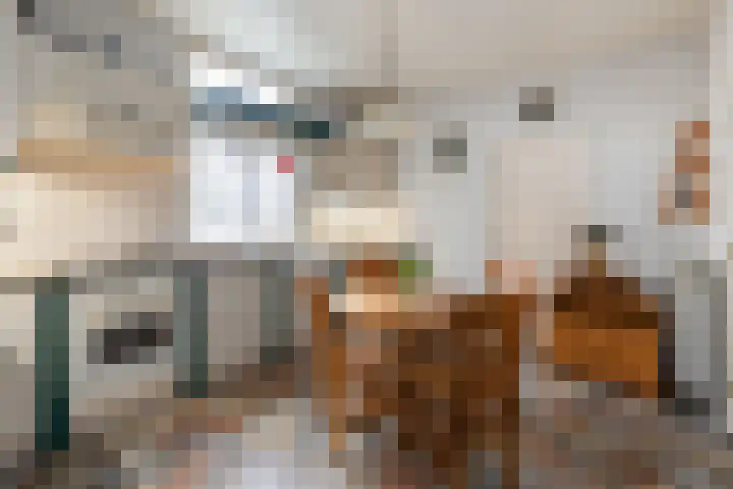 Dorpsstraat 53 Heino thumbnail 17