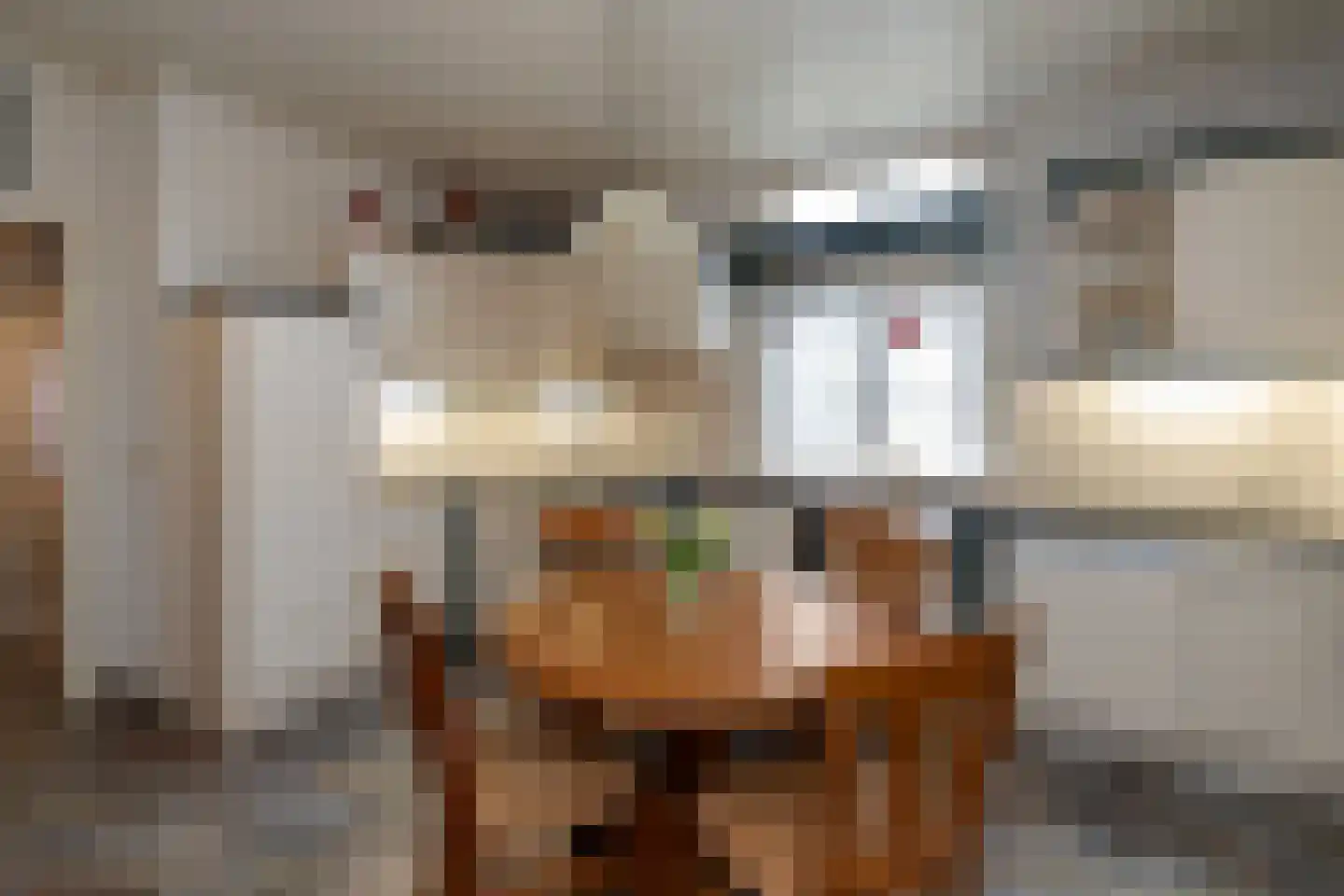 Dorpsstraat 53 Heino thumbnail 18