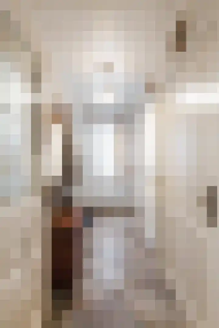 Dorpsstraat 53 Heino thumbnail 19