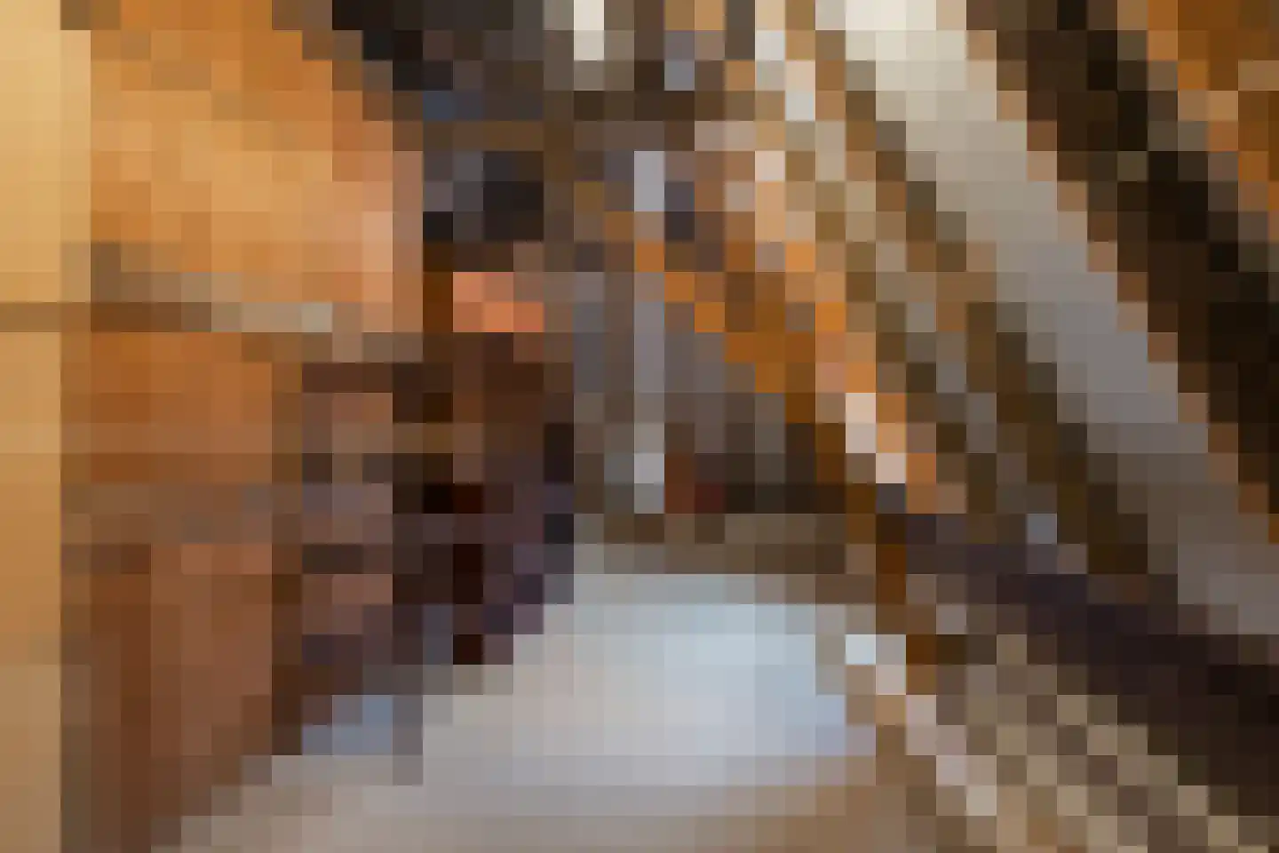 Dorpsstraat 53 Heino thumbnail 34