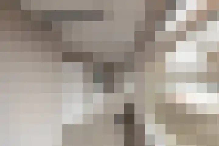 Dorpsstraat 53 Heino thumbnail 35