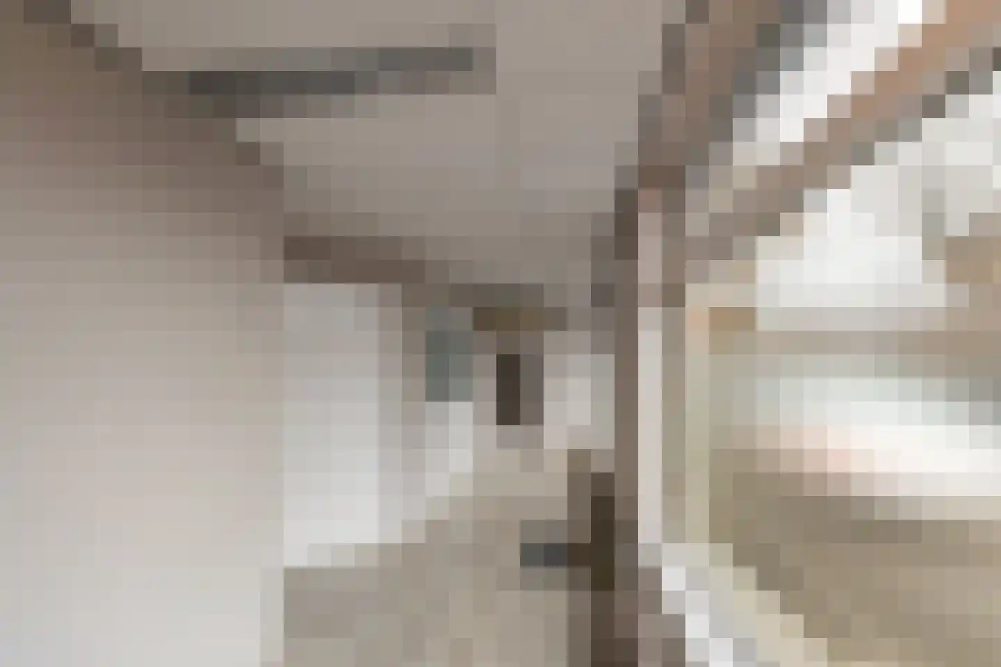 Dorpsstraat 53 Heino thumbnail 35