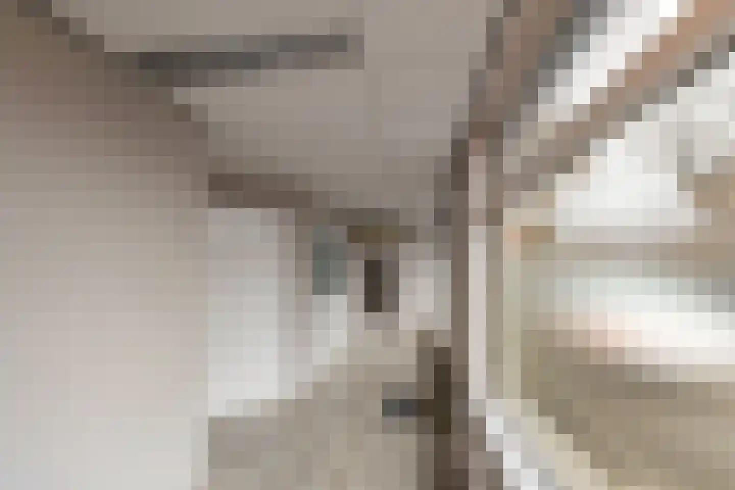 Dorpsstraat 53 Heino thumbnail 35