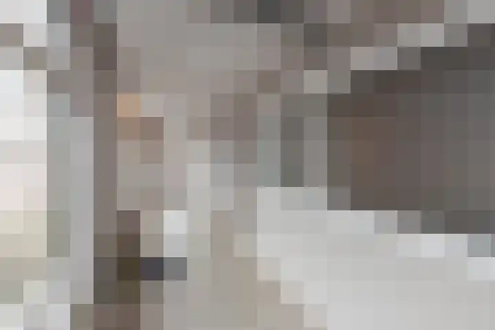 Dorpsstraat 53 Heino thumbnail 36