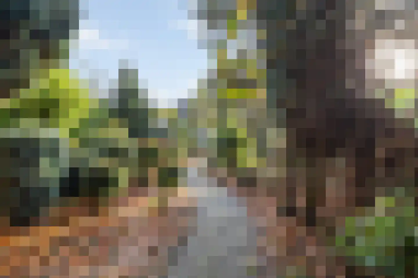 Dorpsstraat 53 Heino thumbnail 4