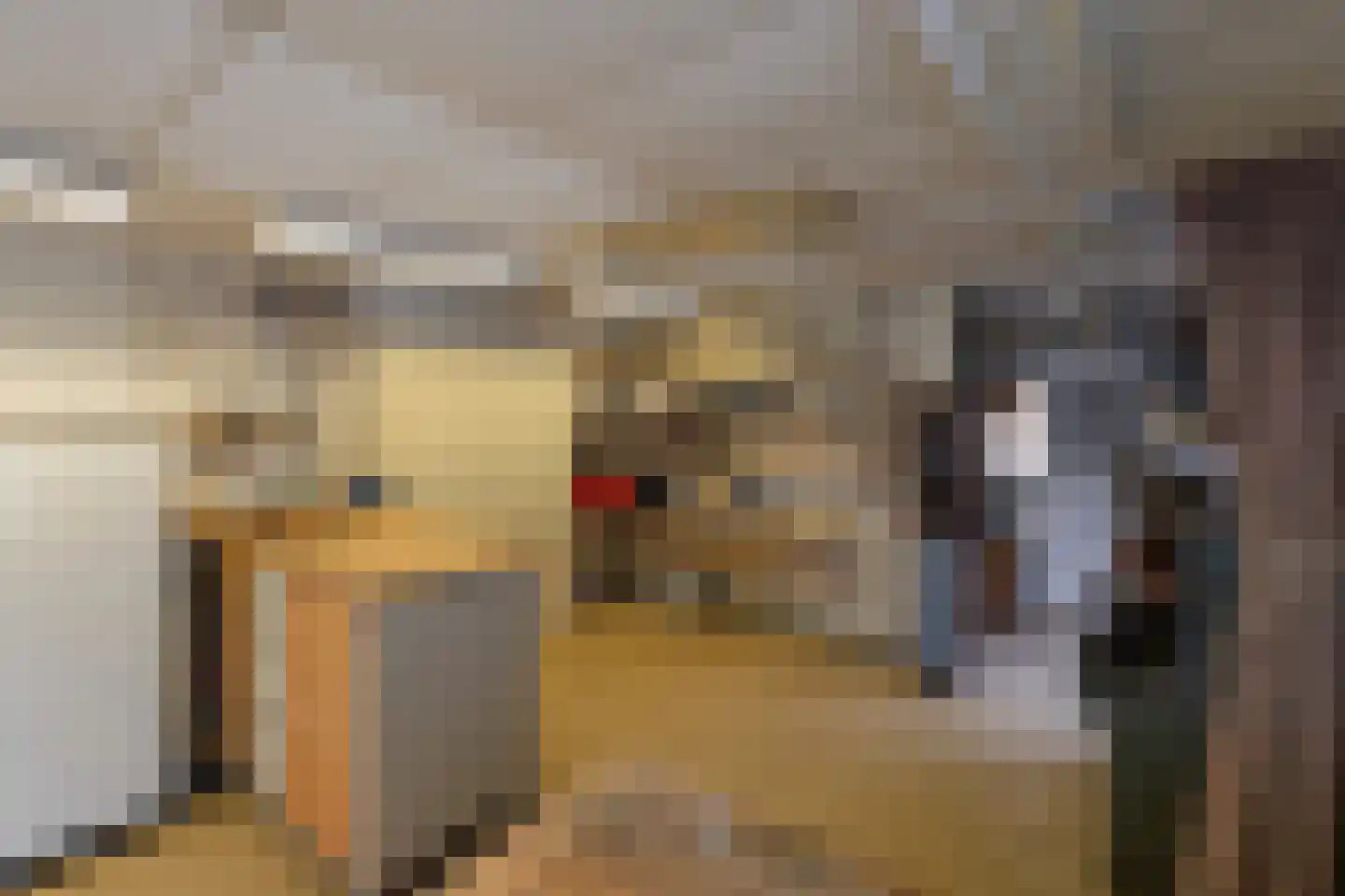 Dorpsstraat 53 Heino thumbnail 44