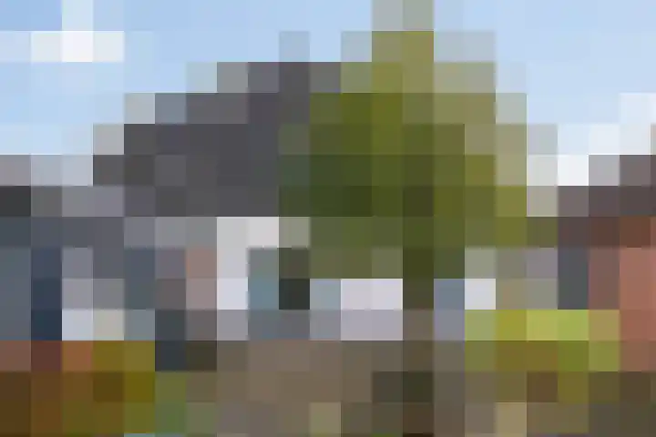 Dorpsstraat 53 Heino thumbnail 46