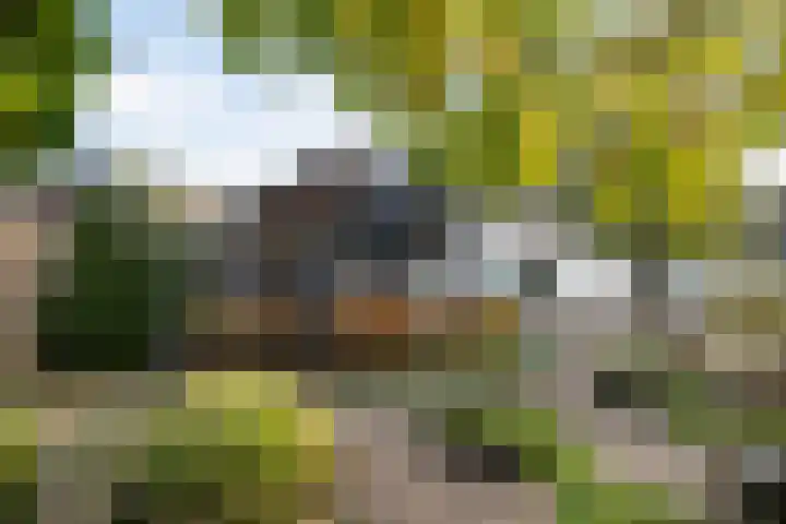 Dorpsstraat 53 Heino thumbnail 47