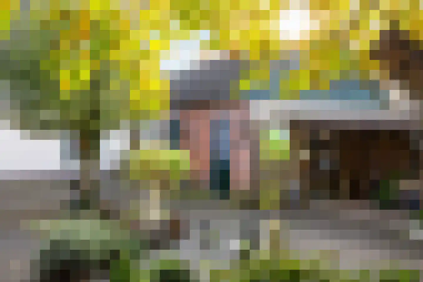 Dorpsstraat 53 Heino thumbnail 50