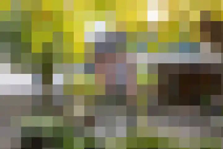 Dorpsstraat 53 Heino thumbnail 50