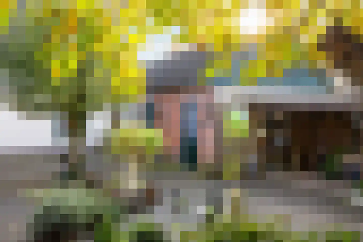 Dorpsstraat 53 Heino thumbnail 50