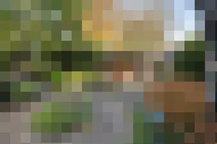 Dorpsstraat 53 Heino thumbnail 52