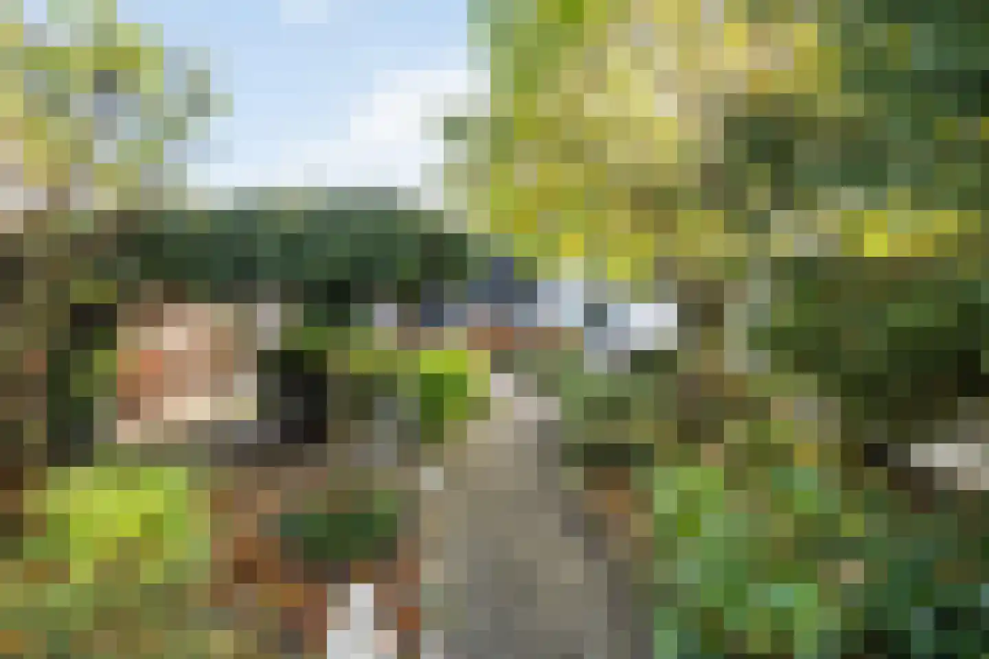 Dorpsstraat 53 Heino thumbnail 53