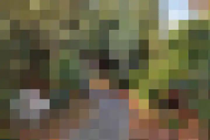 Dorpsstraat 53 Heino thumbnail 55